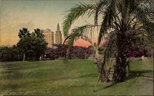 פארק Bayfront והצצה לקו הרקיע מיאמי, פלורידה פלורידה גלויה עתיקה מקורית