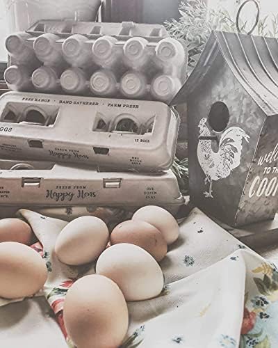 קרטוני ביצים-עיצוב מודפס מקסים לביצים טריות בחווה, קרטון נייר ממוחזר, יציב וניתן לשימוש חוזר, מחזיק עד ביצי עוף