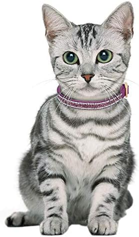פלילה חתול צווארון הבדלני עם פעמונים-2 מארז בלינג ריינסטון חתול צווארון, רך מיקרופייבר עור בטוח מתכוונן שינג צווארון, לחתולים וגור ילדה
